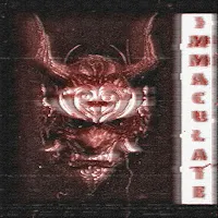 Visxge — Immaculate (Slowed & Reverb) — обложка